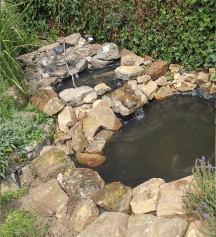 Garten und Landschaftsgärtner innen in Bielefeld Natureffekt